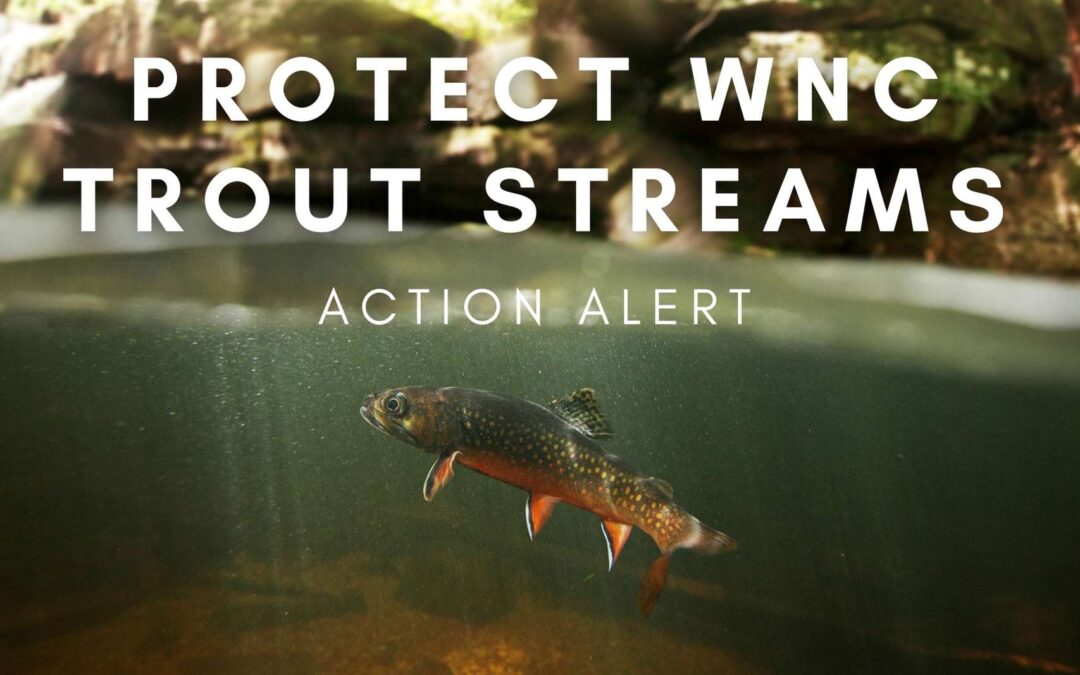 Action Alert: Protect Our Trout Streams