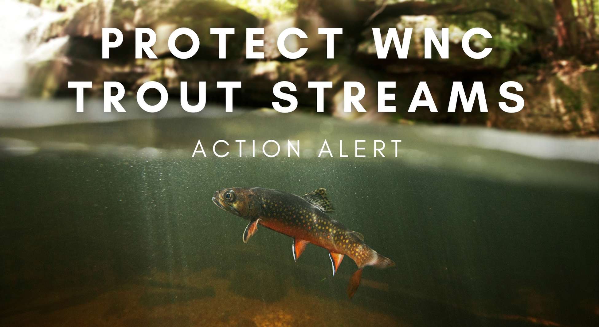 Action Alert: Protect Our Trout Streams