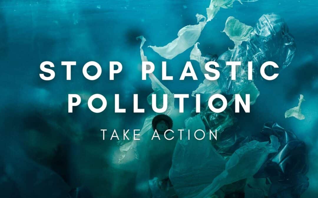 https://mountaintrue.org/wp-content/uploads/2023/06/Stop-Plastic-Pollution-1080x675.jpg