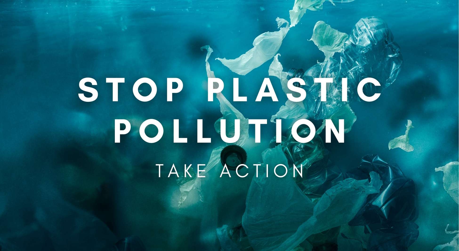 Take Action: Ask the Town of Black Mountain To Support A Ban On Single-Use Plastic Bags