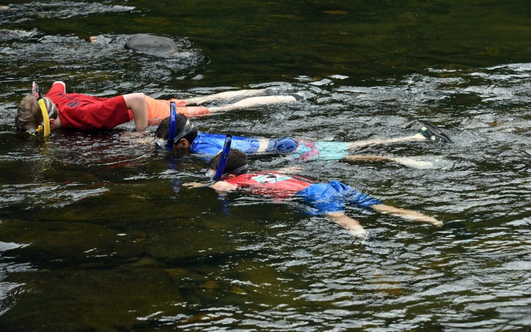 Snorkel the French Broad River Headwaters in Rosman, NC 8/2