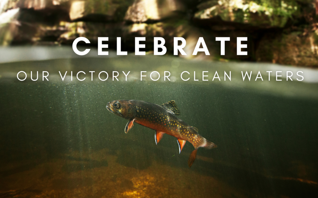 Victory – Eleven Streams in the Watauga River Basin Receive Special Protections