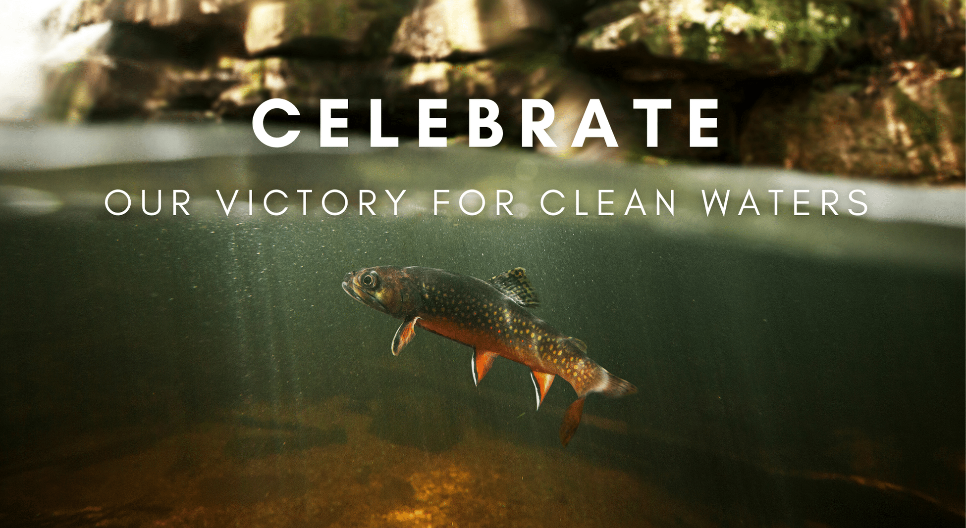 Victory – Eleven Streams in the Watauga River Basin Receive Special Protections