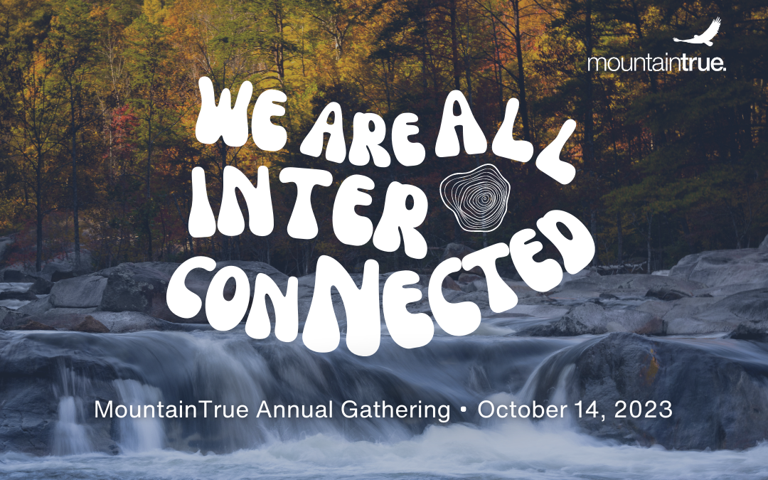 You’re Invited to MountainTrue’s 2023 Annual Gathering!