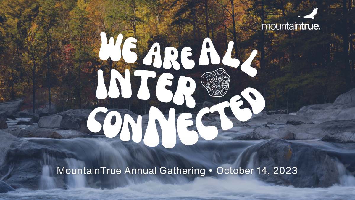 You’re Invited to MountainTrue’s 2023 Annual Gathering!