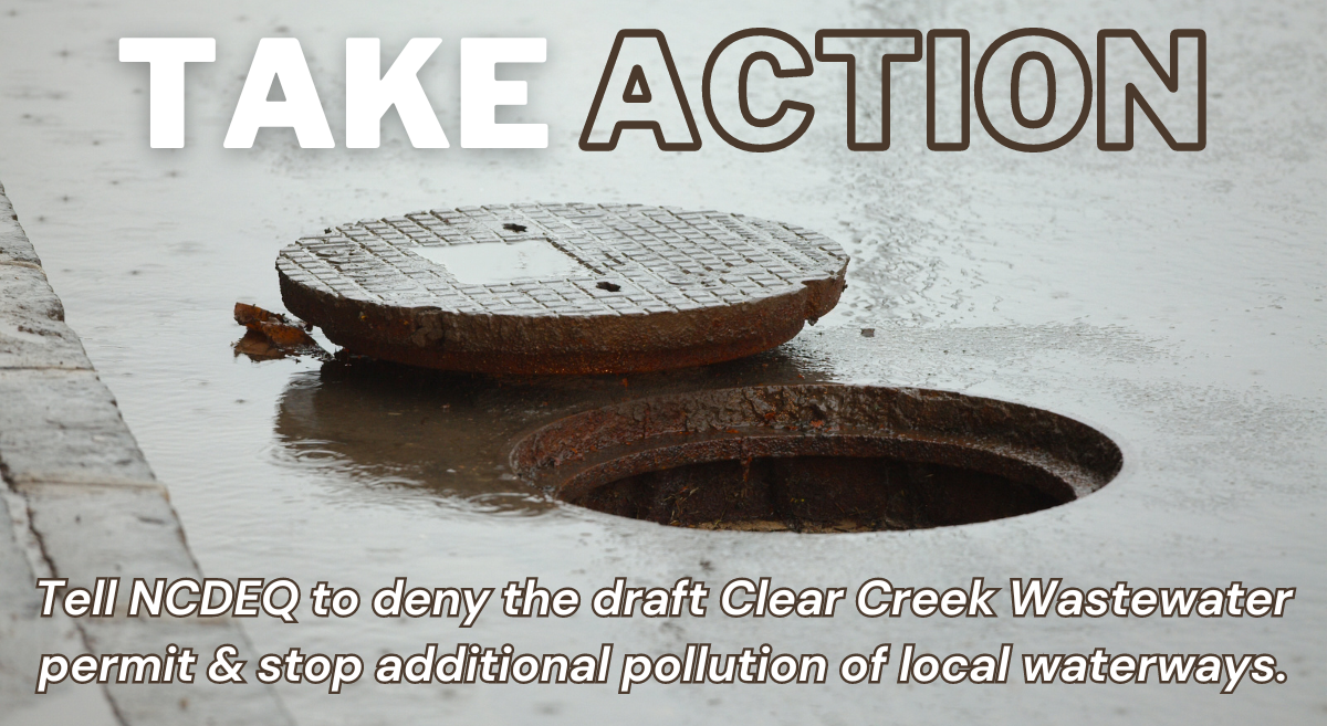 ACTION: Tell NCDEQ to Deny the Draft Clear Creek Wastewater Permit & Stop Additional Pollution of Local Waterways