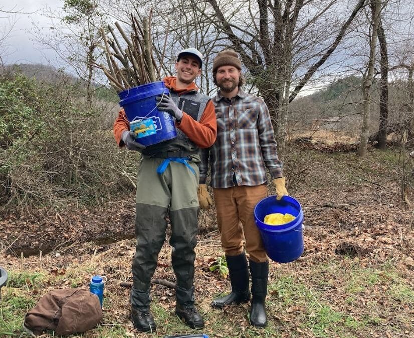 Live Staking Work Day near Sugar Grove, NC 2-17