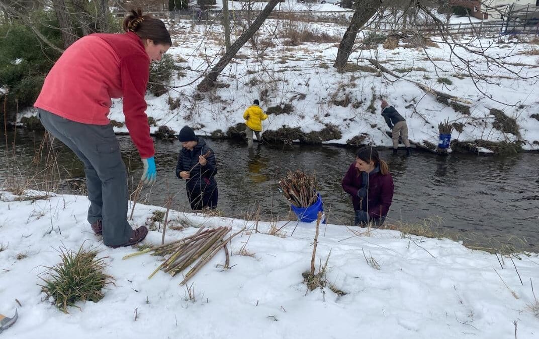 Live Staking Work Day near Sugar Grove, NC 2-2