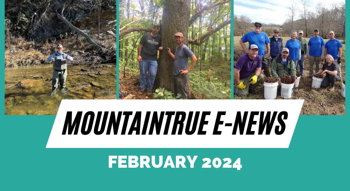 MountainTrue’s February 2024 E-Newsletter