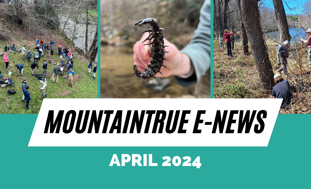 MountainTrue’s April 2024 E-Newsletter