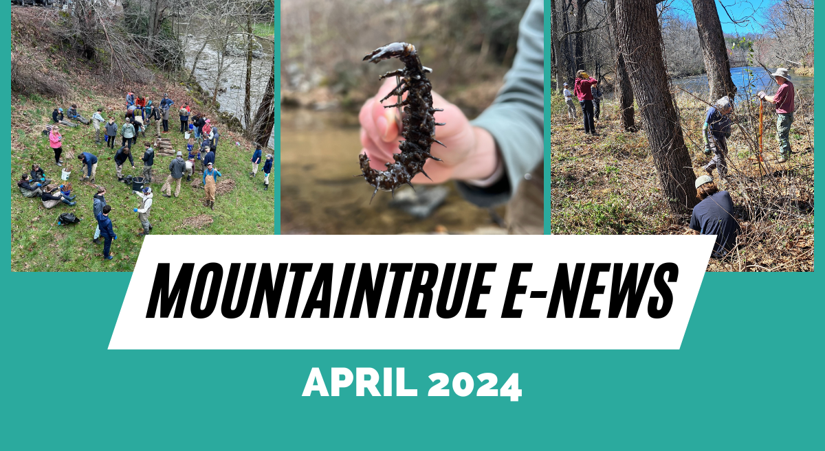 MountainTrue’s April 2024 E-Newsletter