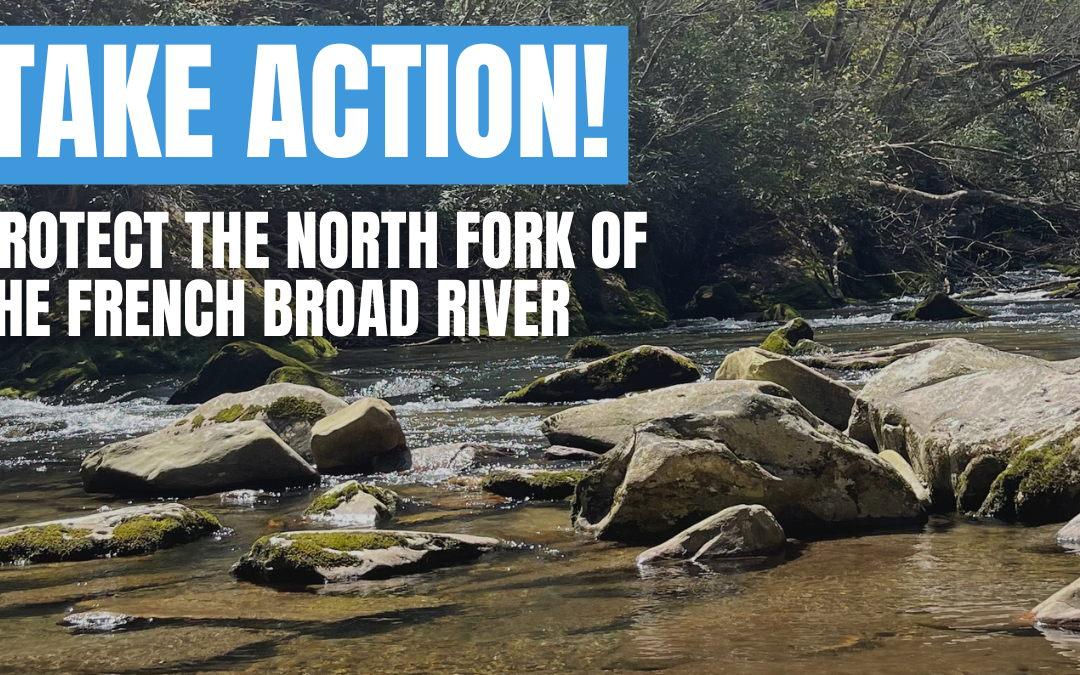 TAKE ACTION to Protect the North Fork of the French Broad River in Transylvania County, NC!