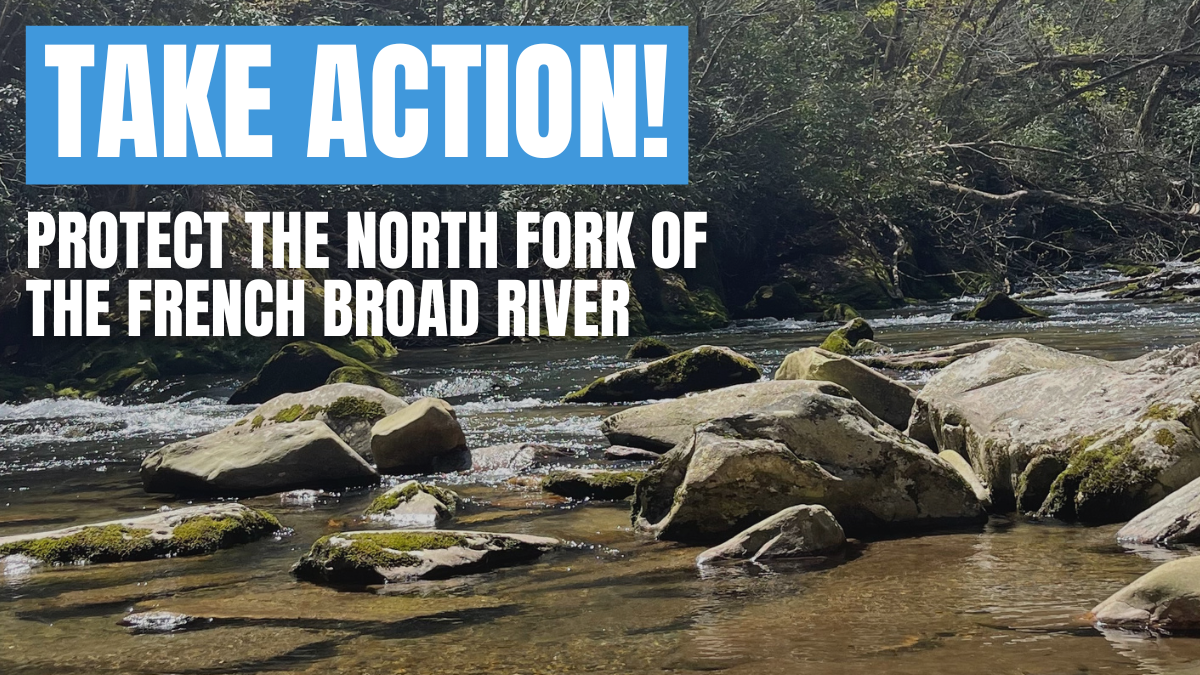 TAKE ACTION to Protect the North Fork of the French Broad River in Transylvania County, NC!