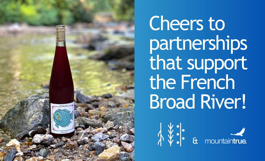 Sustainability for the French Broad River Runs Deep for Plēb Urban Winery