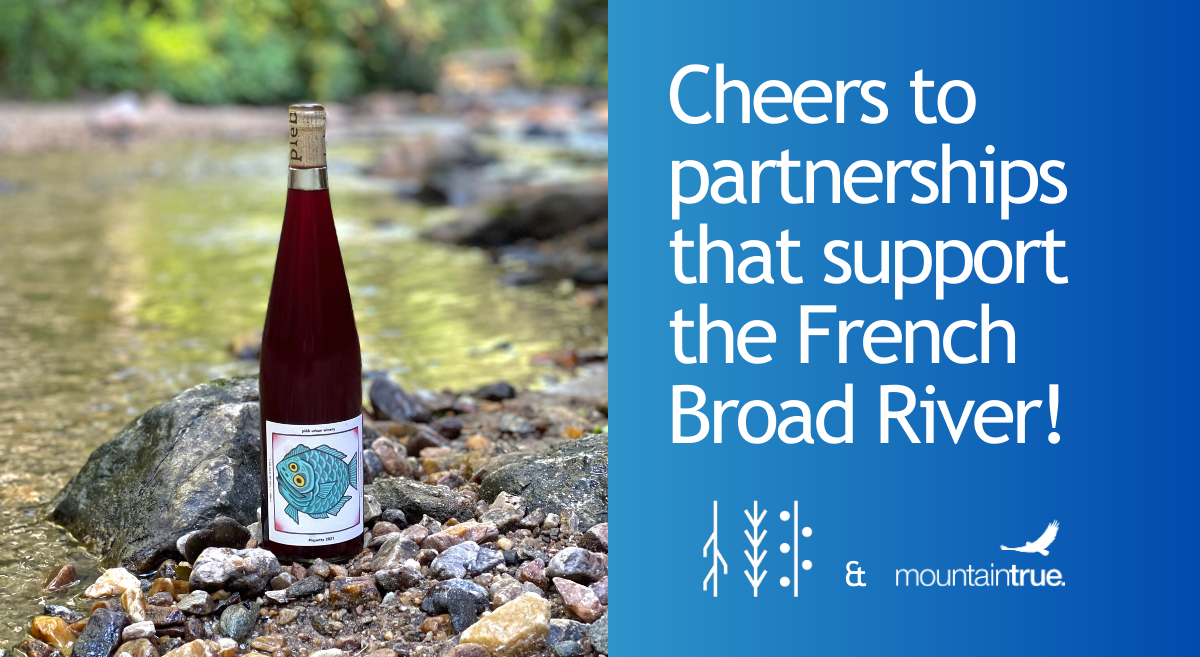 Sustainability for the French Broad River Runs Deep for Plēb Urban Winery