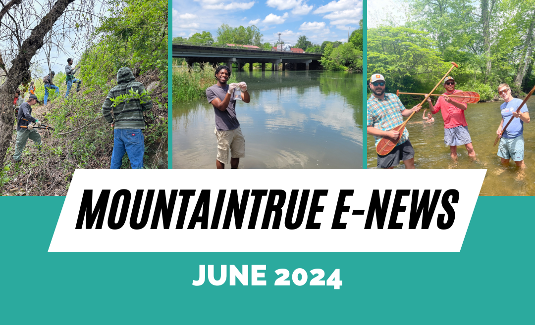 MountainTrue’s June 2024 E-Newsletter