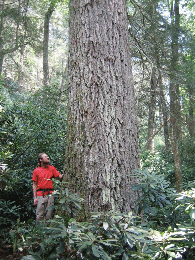 Screenshot 2025-11-12 at 10.59.59 AM