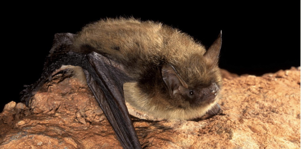 Screenshot 2025-11-12 at 11.06.09 AM