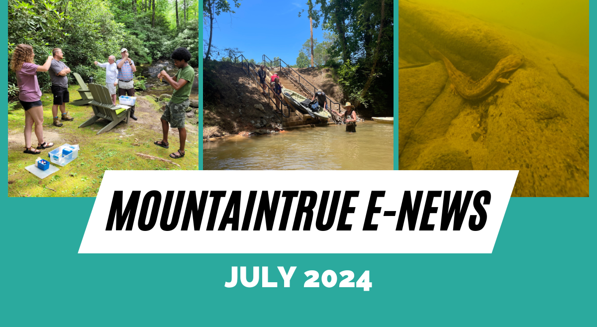 MountainTrue’s July 2024 E-Newsletter