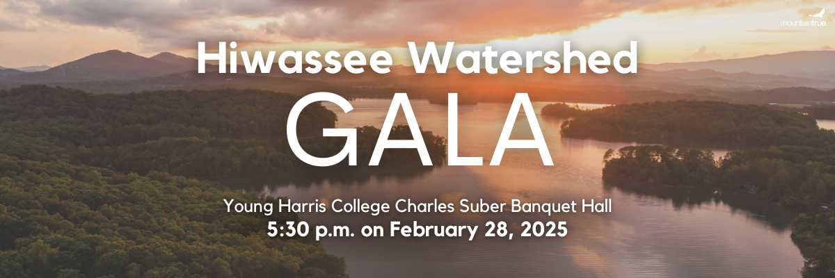 2025 WRO Gala website header image (NEW PIC UPDATED DEC) (1)