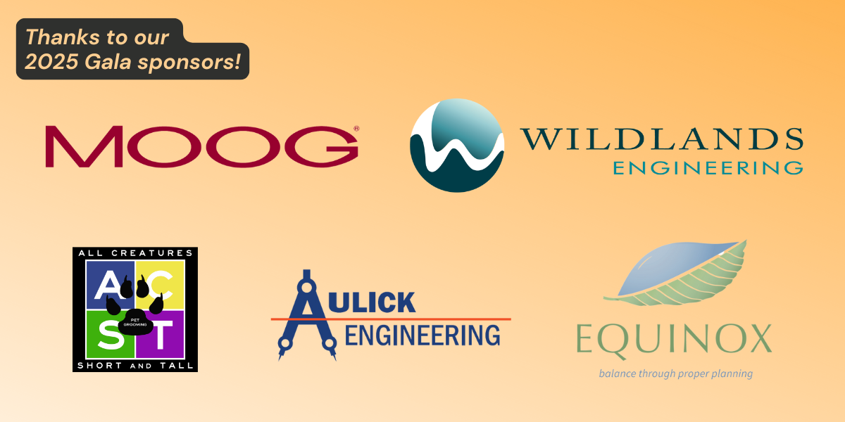 2025 Gala Sponsors webpage graphic (1200x400) VERSION2 (1)