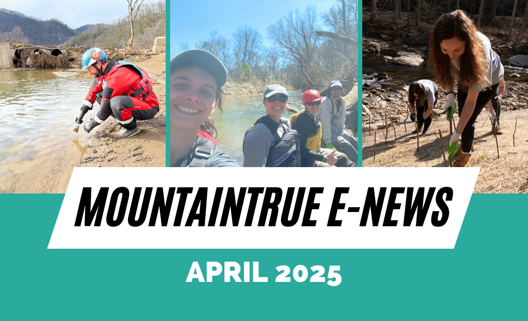 MountainTrue’s April E-Newsletter