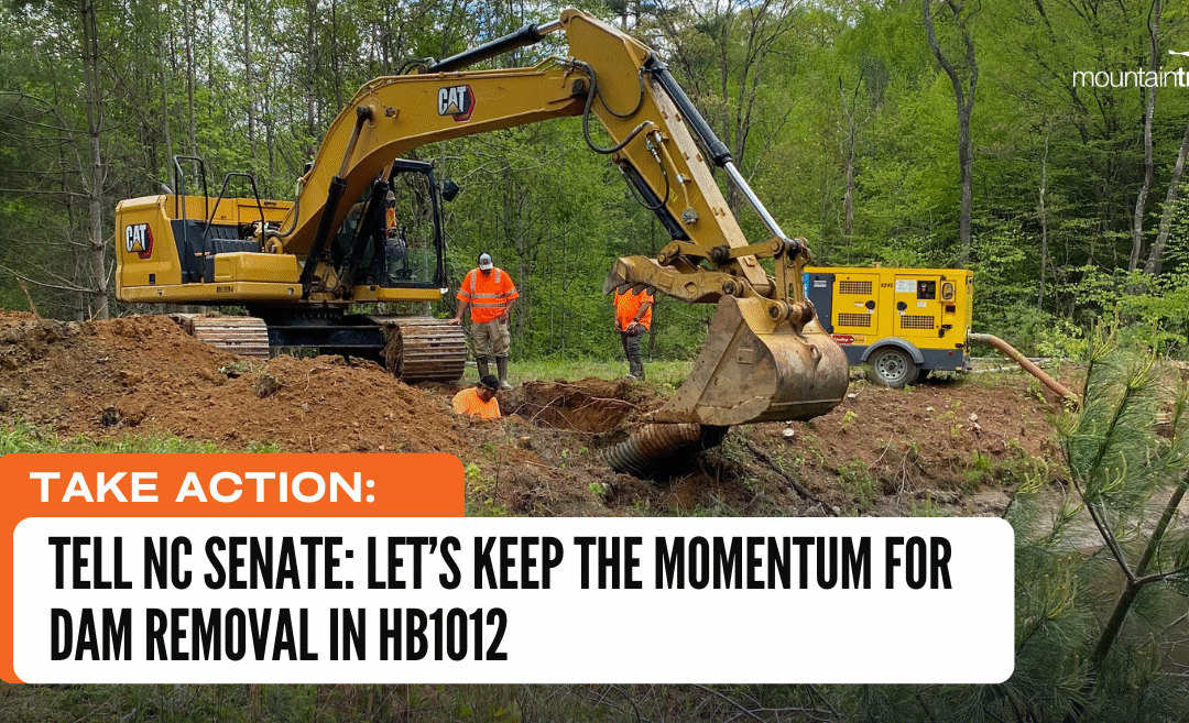 Take Action: Tell NC Senate to Keep Funding for Dam Removal in HB1012 – Disaster Recovery Part II