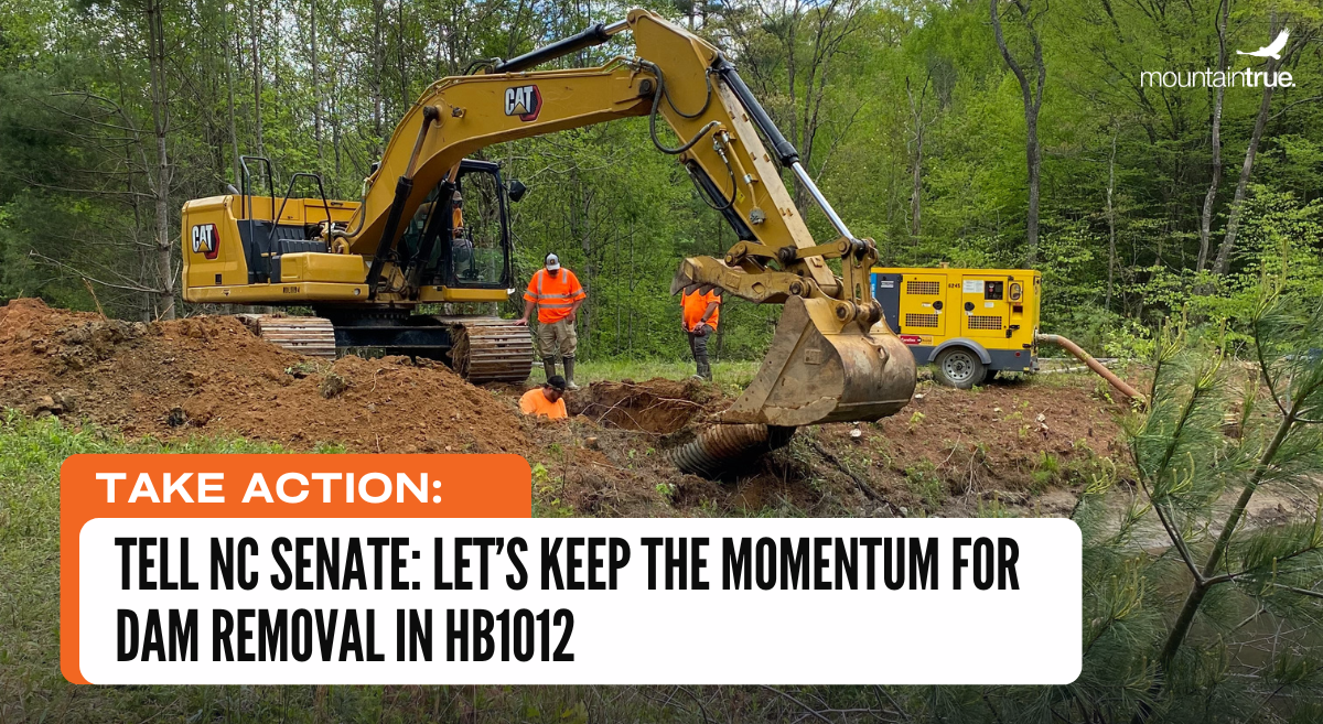 Take Action: Tell NC Senate to Keep Funding for Dam Removal in HB1012 – Disaster Recovery Part II