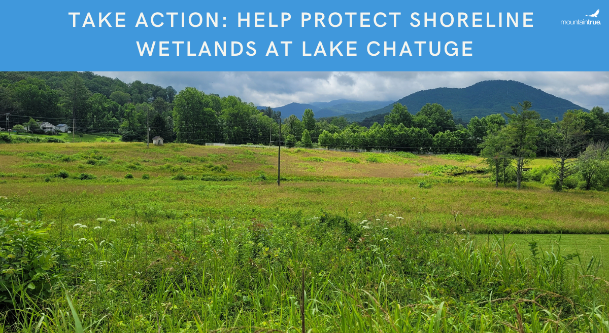 Lake Chatuge wetlands action featured image
