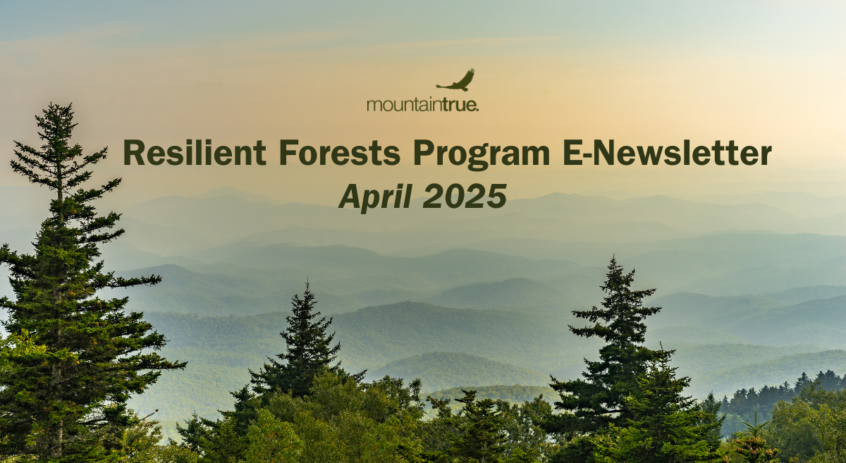 Resilient Forests E-News: April ’25