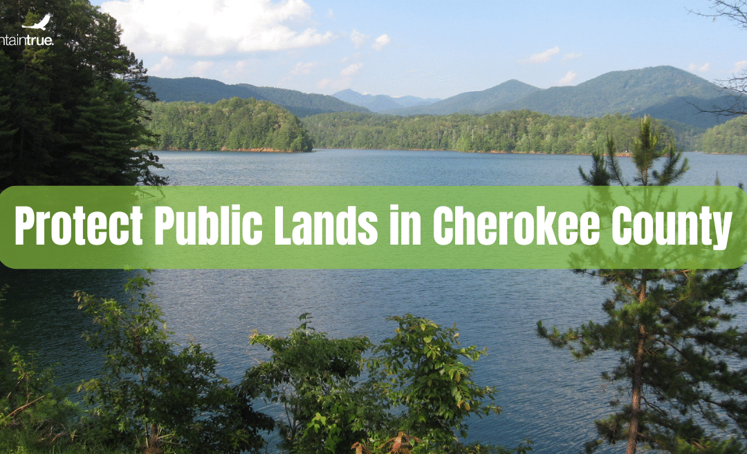 Protect Public Lands in Cherokee County: Public Lands Are For The People – Not Private Developers