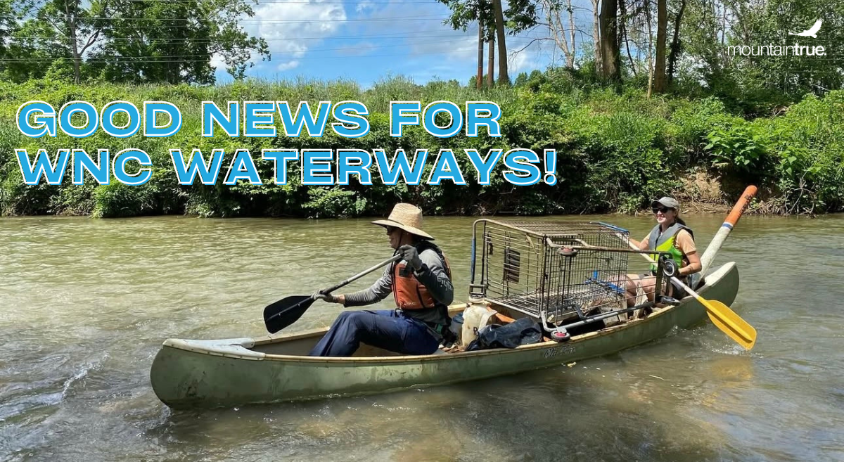Big News: MountainTrue Launches Major River Cleanup Effort Across WNC