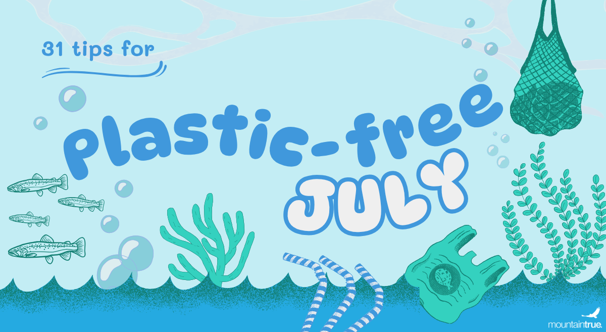 31 Tips for Plastic-Free July