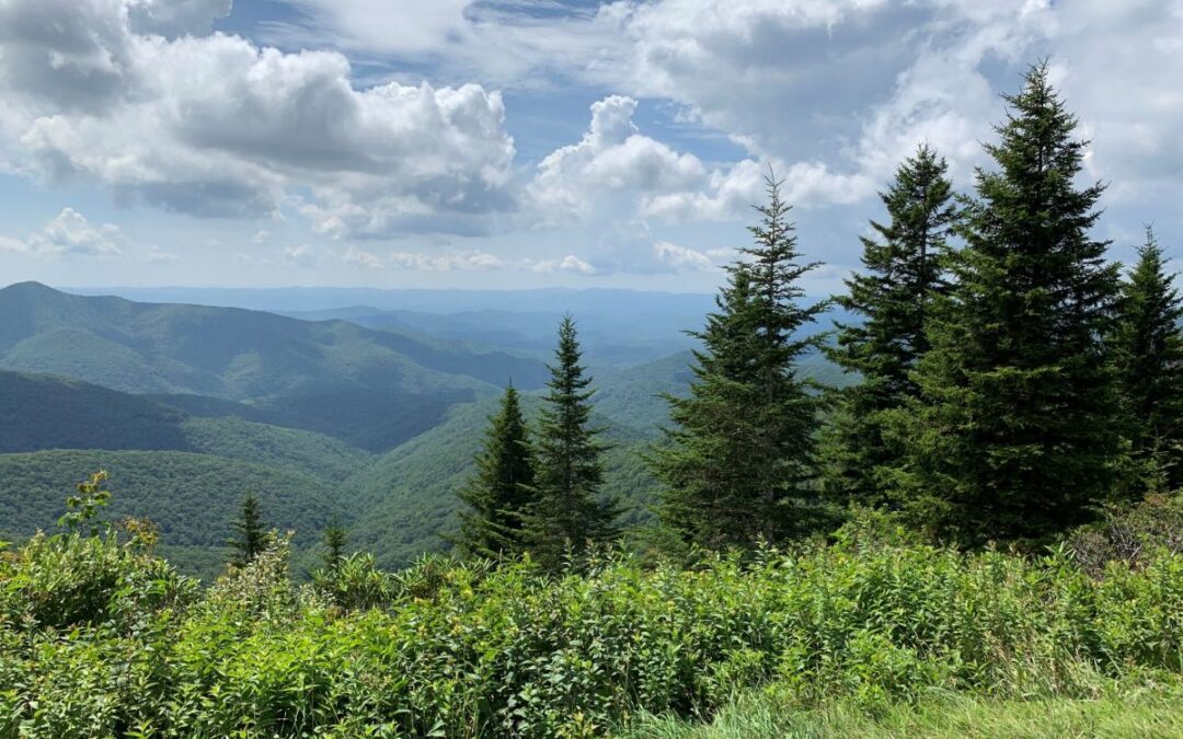 Green Drinks: Blue Ridge Rising in Hendersonville, NC 10/9