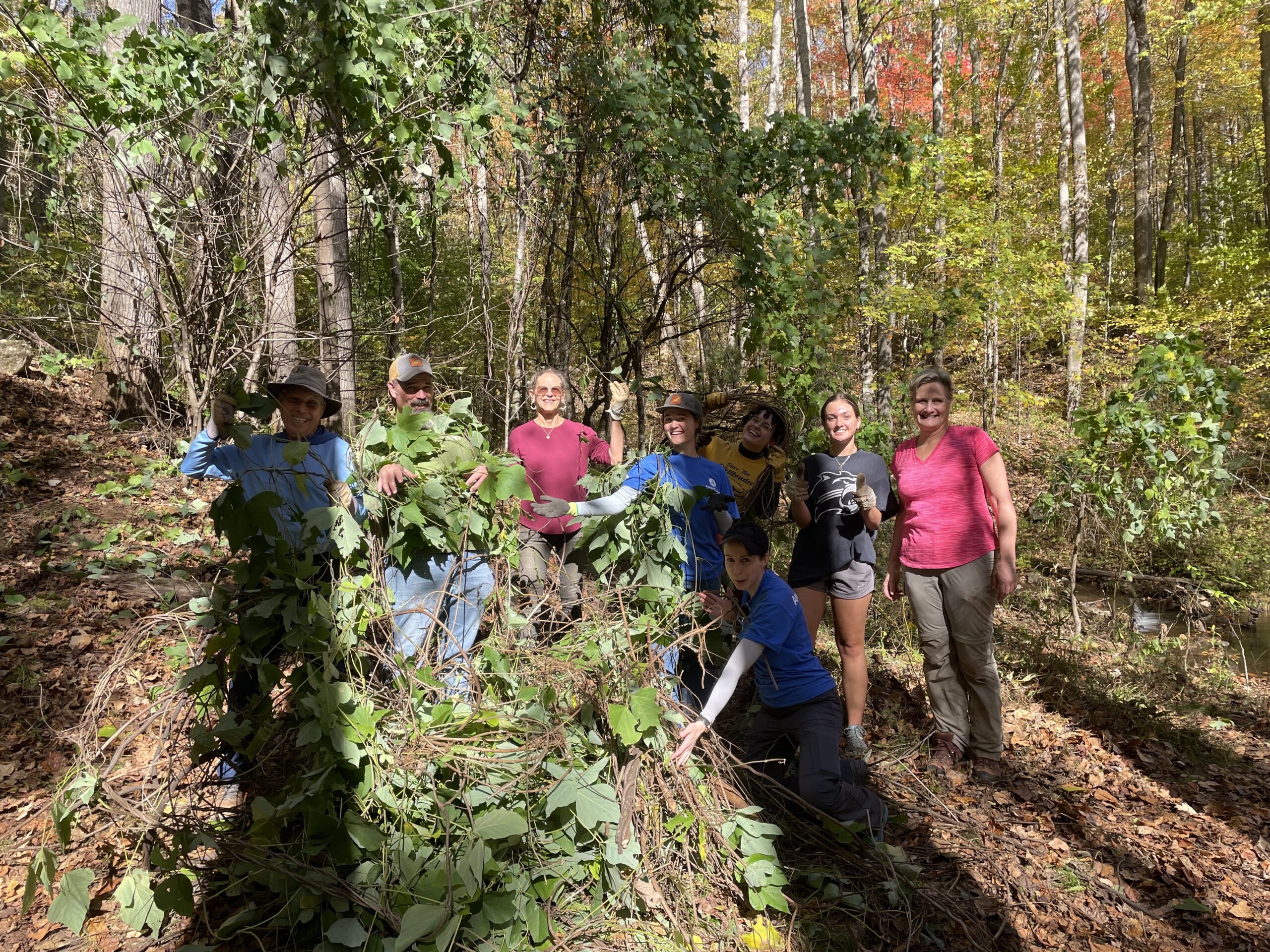 MountainTrue Trail Workday with the Carolina Mountain Club Friday Crew near Asheville, NC 10/24