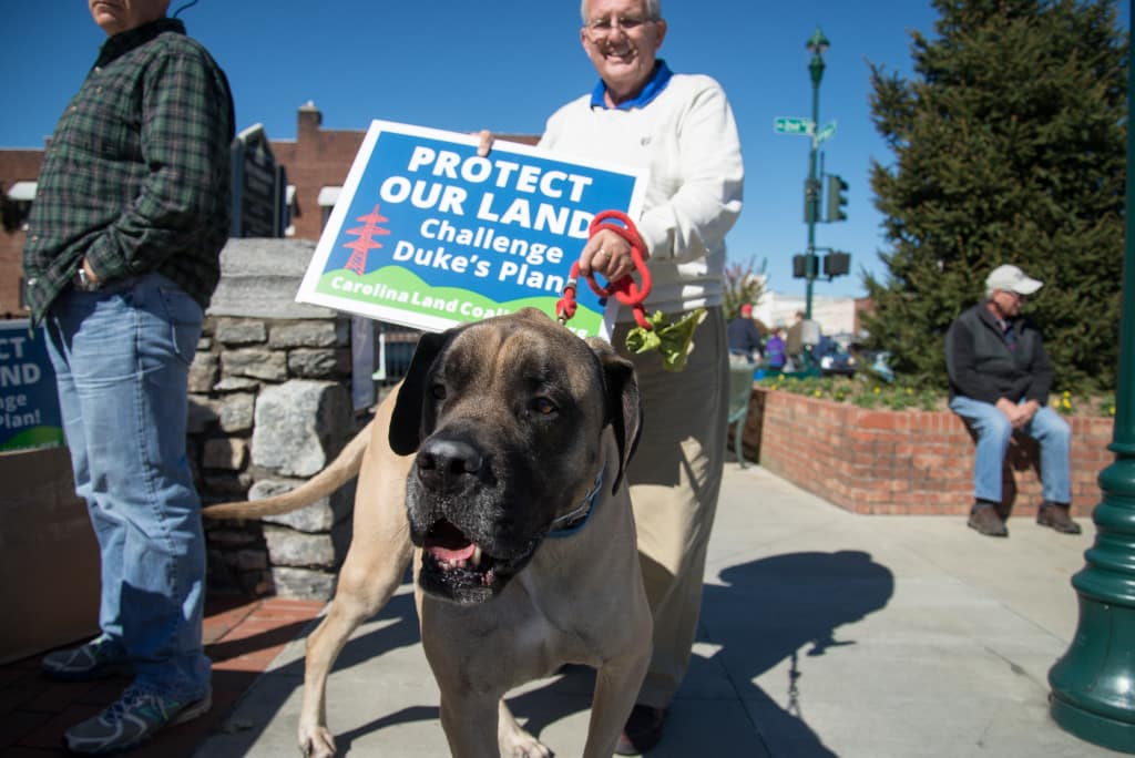 Protect our Land Picnic in Hendersonville, NC on Sunday, October 18, 2015. Photo credit: katrinaohstrom.com