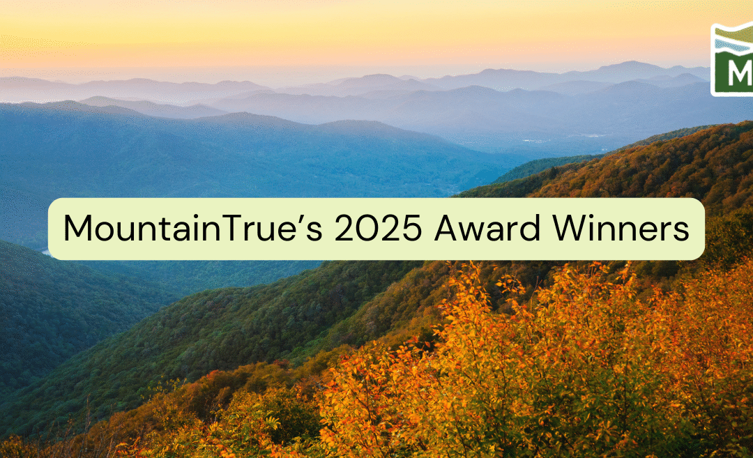 MountainTrue’s 2025 Volunteer of the Year & Esther Cunningham Awards
