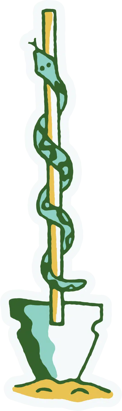 snake pole illustration