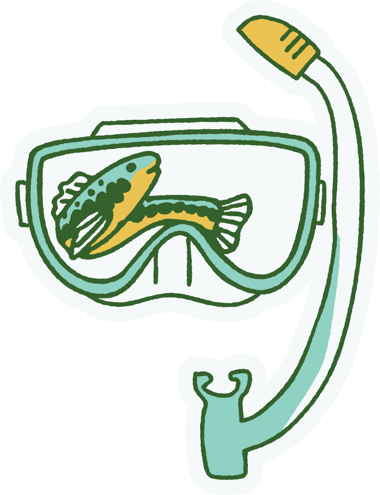 Fish in Goggles Illustration