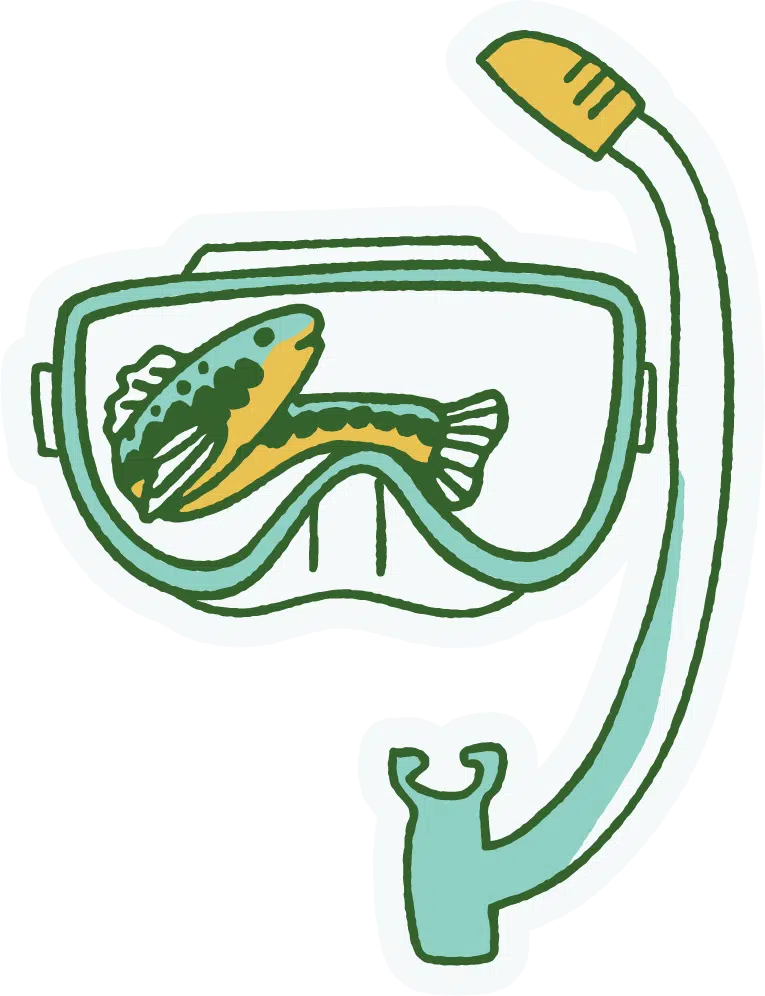 Fish in Goggles Illustration