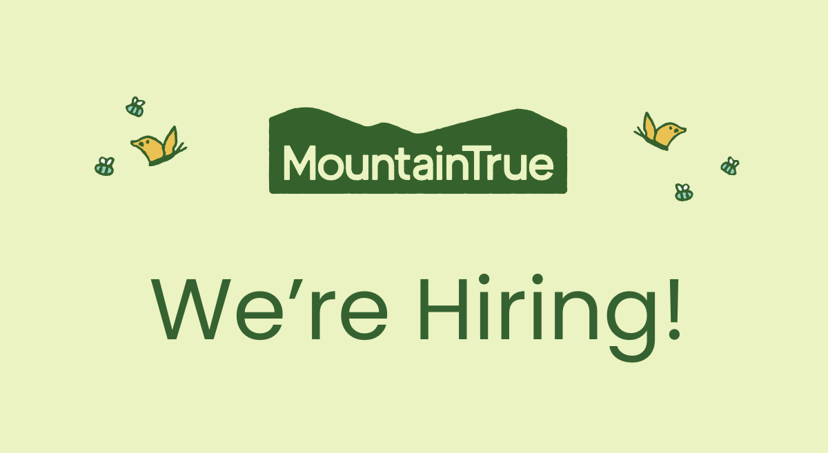 Director of Finance