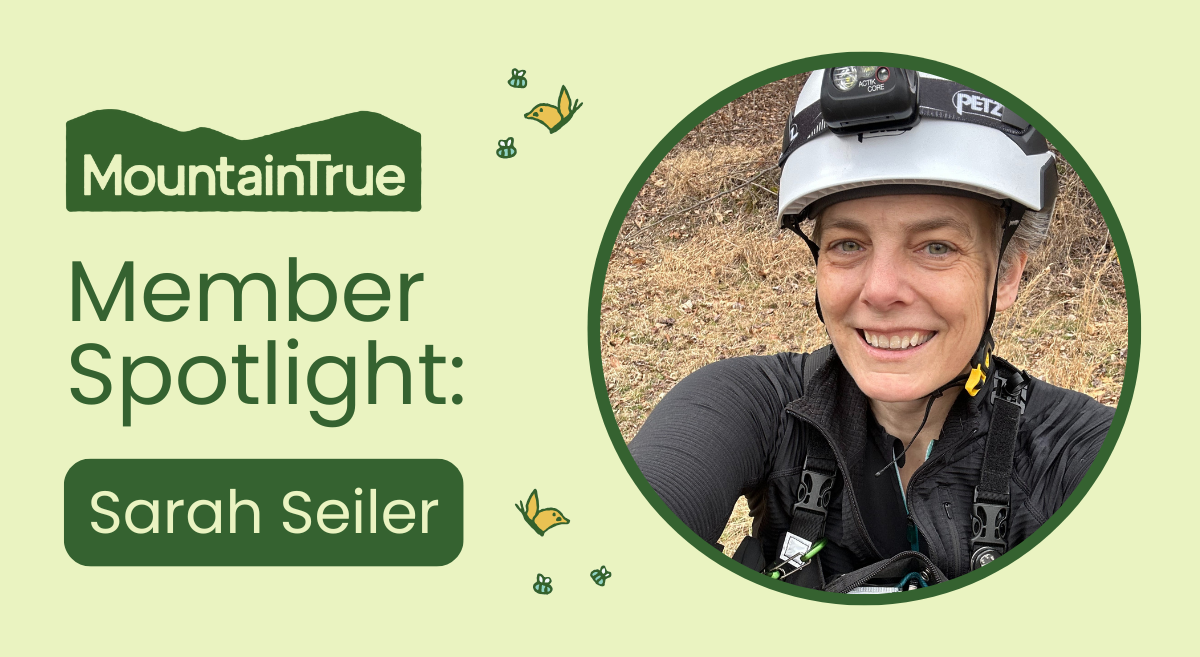Member Spotlight: Sarah Seiler