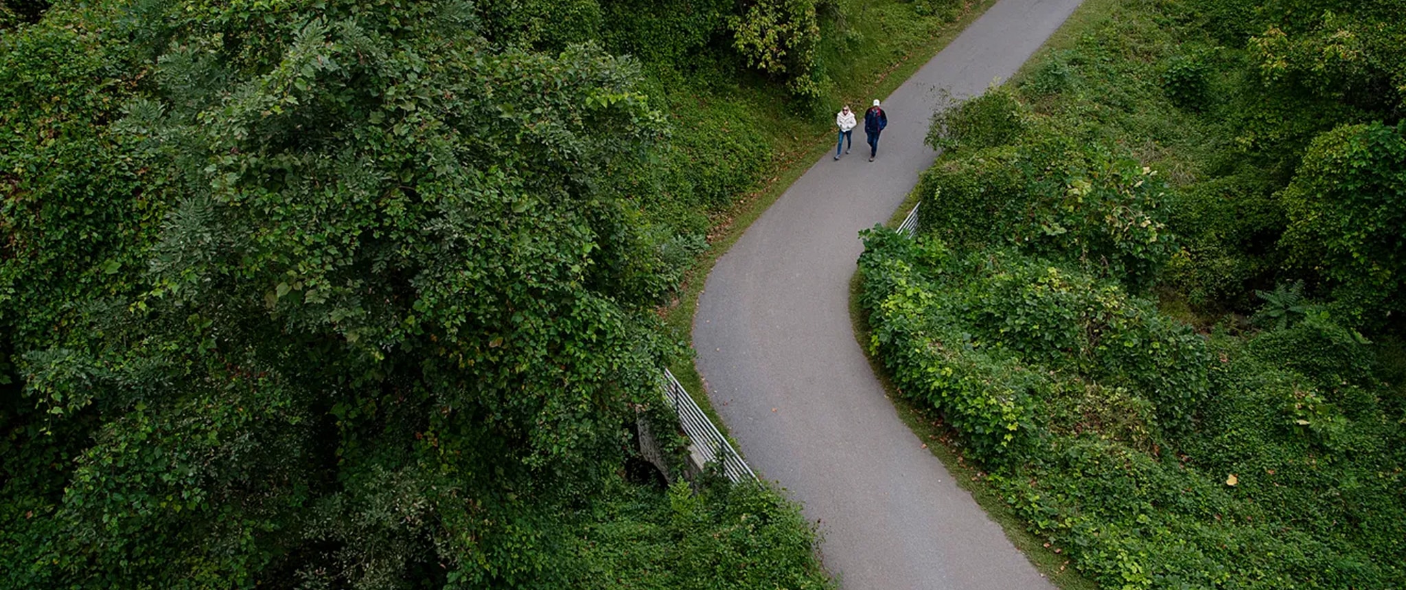 Sidewalks Bikelines and Greenway