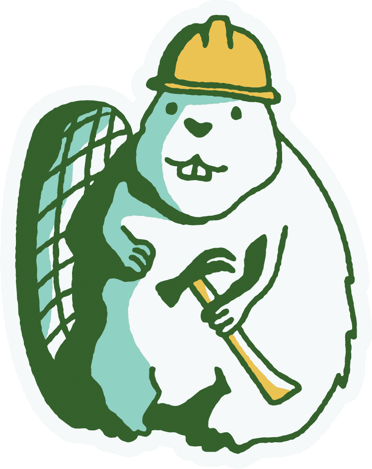 beaver builder illustration