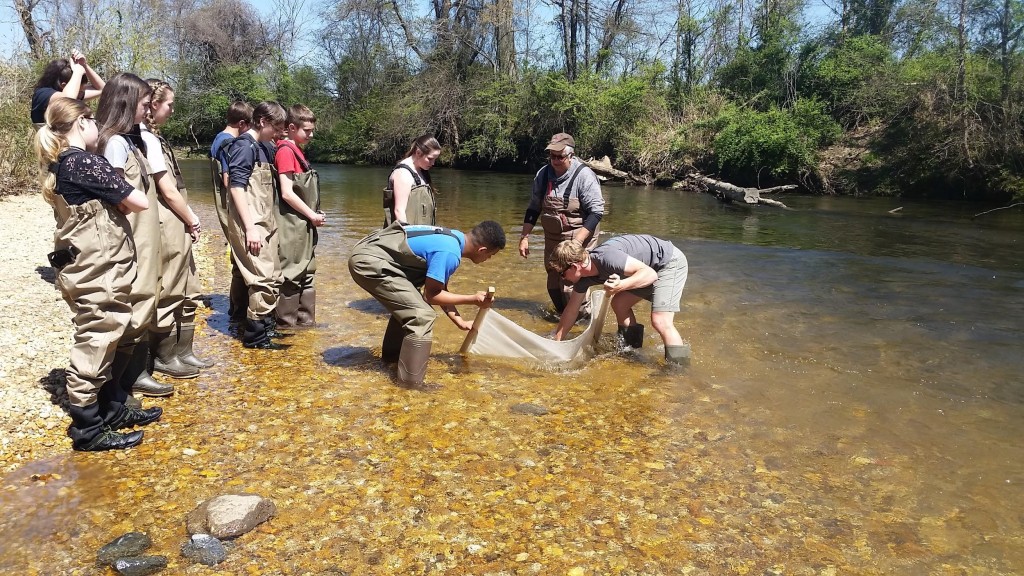 Kids in the creek sampling the river's macro-invertebrates. 