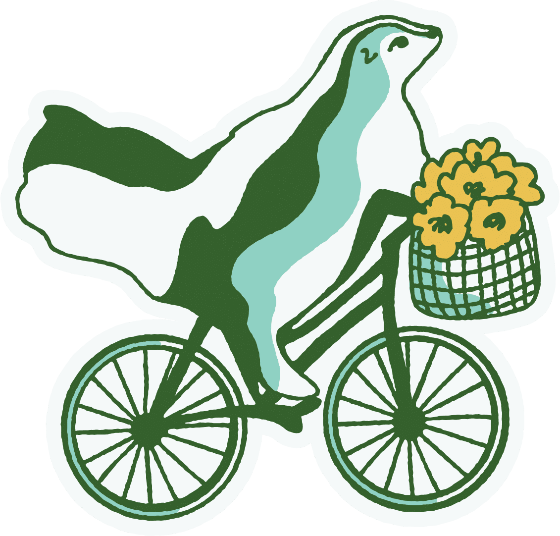 skunk on bicycle illustration