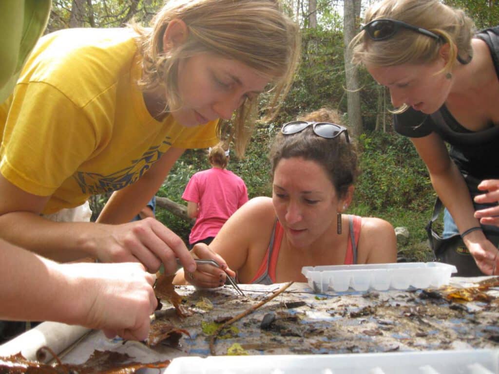 2010-SB-at-EQI-SMIE-training_9.2012