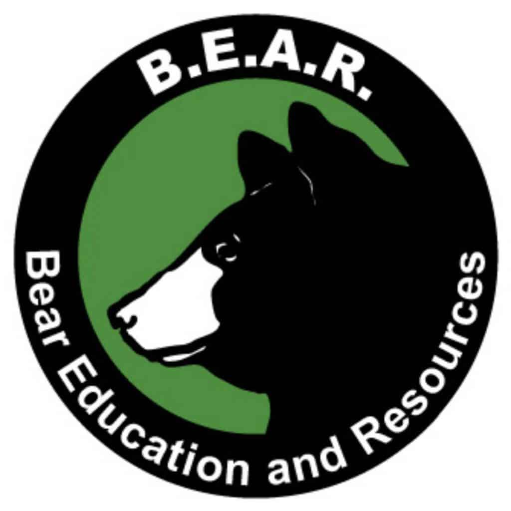2011-B.E.A.R-Task-Force-BEAR-Final