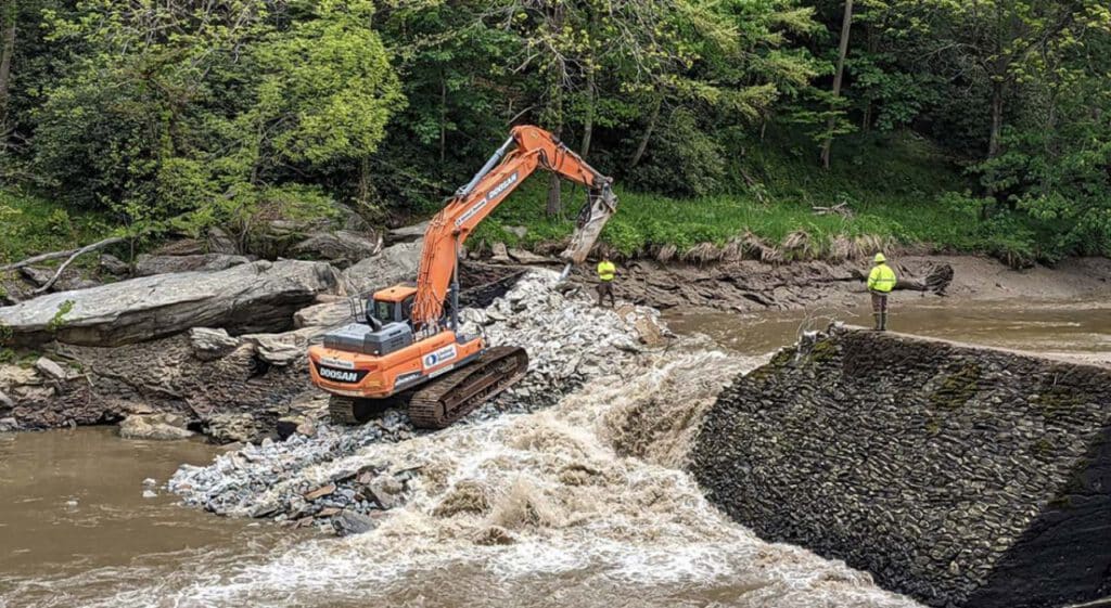 2021-Ward-Mill-Dam-blog-featured-image