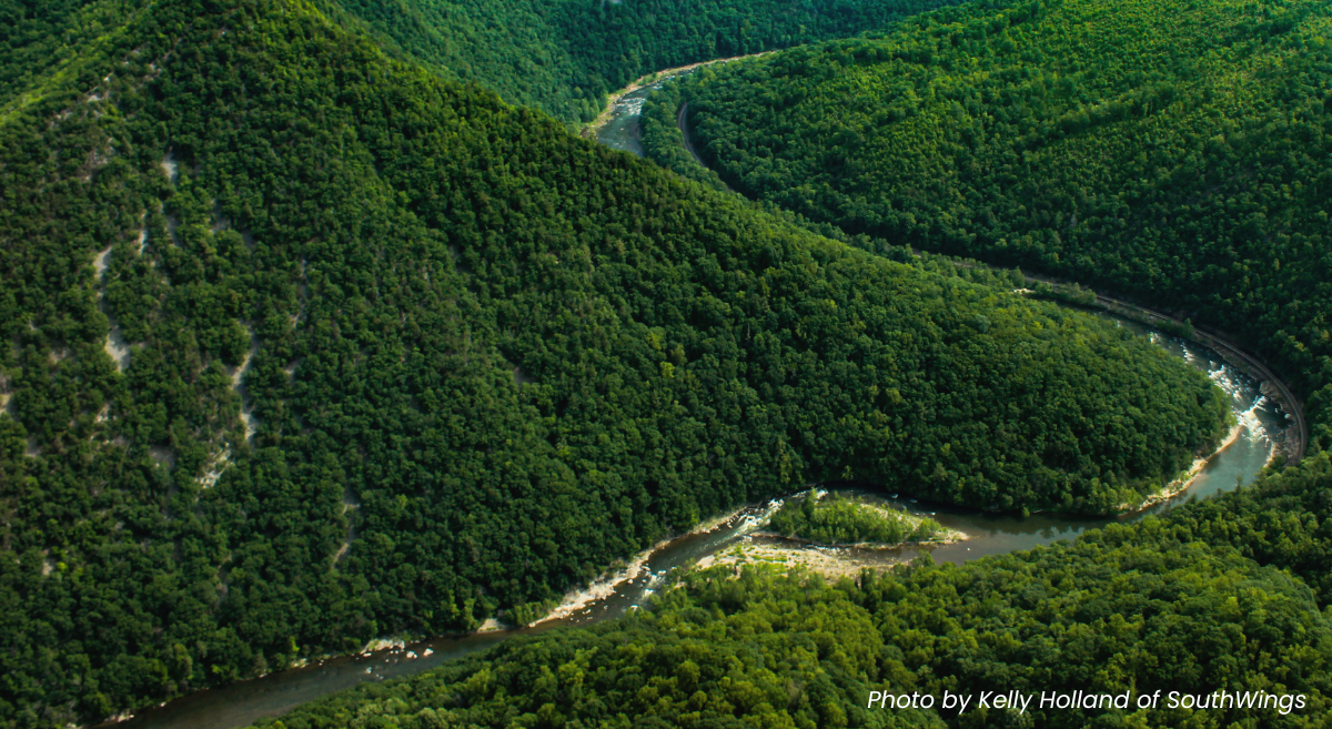 MountainTrue takes action to protect the Nolichucky Gorge